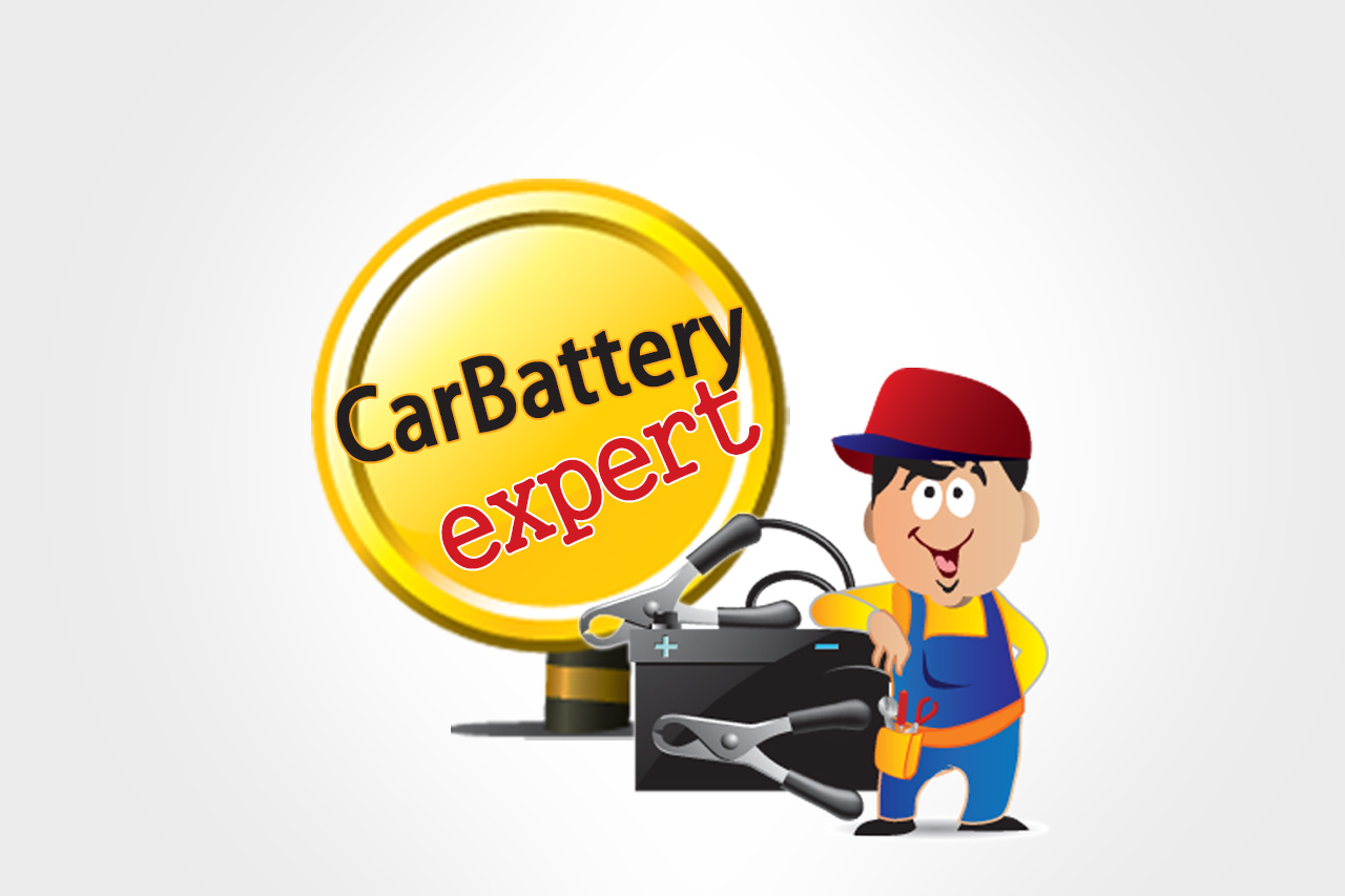 Branding solution for car battery ecommerce website